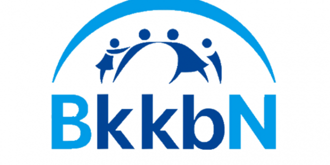 Aplikasi elsimil BKKBN berfungsi sebagai alat skrining guna mendeteksi faktor risiko pada calon pengantin. Tujuannya, memastikan mereka berada dalam kondisi ideal untuk menikah dan hamil